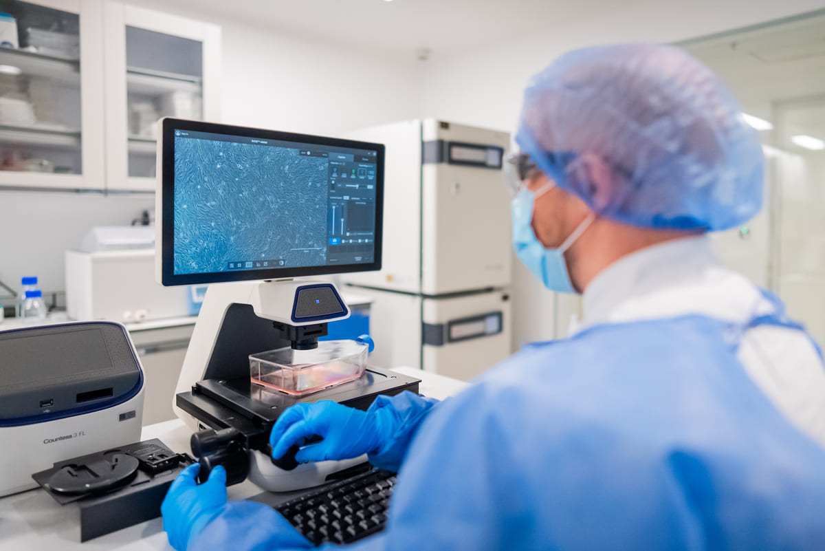 Investigación y desarrollo 